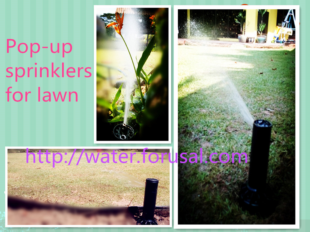 Description: C:\Users\admin\Downloads\combined_sprinklers.jpg